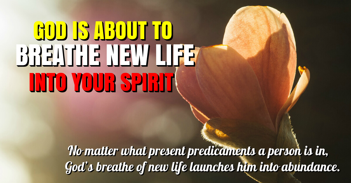 GOD IS ABOUT TO BREATHE NEW LIFE INTO YOUR SPIRIT - The Fount Spring
